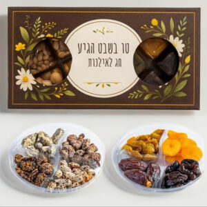 2 מגשים עם 8 סוגי פירות יבשים ופיצוחים